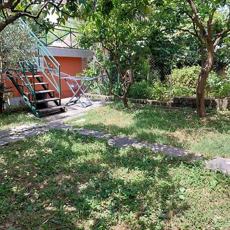Garden Apartmant Near Sea Kotor Extérieur photo