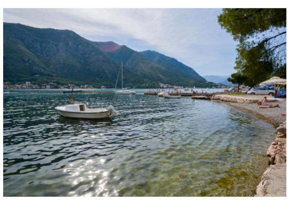 Garden Apartmant Near Sea Kotor Extérieur photo