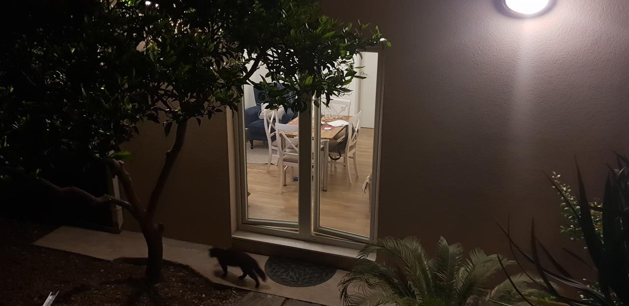 Garden Apartmant Near Sea Kotor Extérieur photo