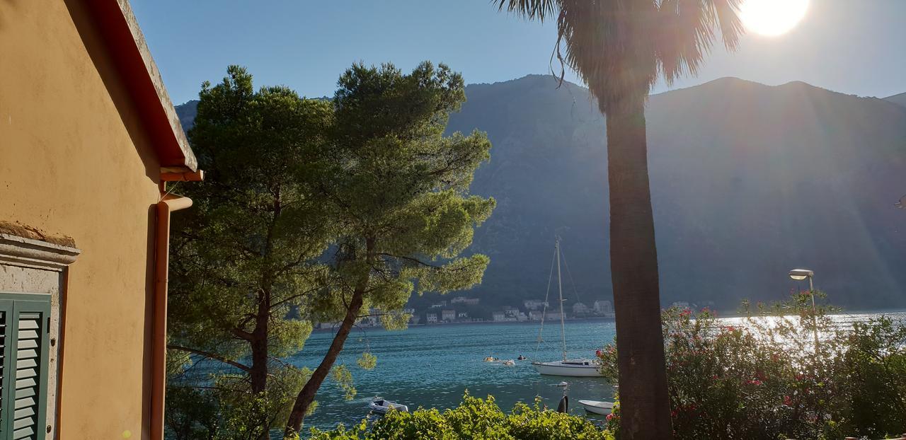 Garden Apartmant Near Sea Kotor Extérieur photo
