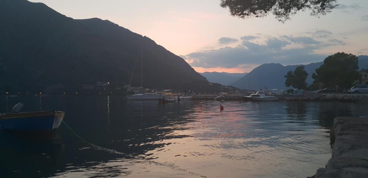Garden Apartmant Near Sea Kotor Extérieur photo